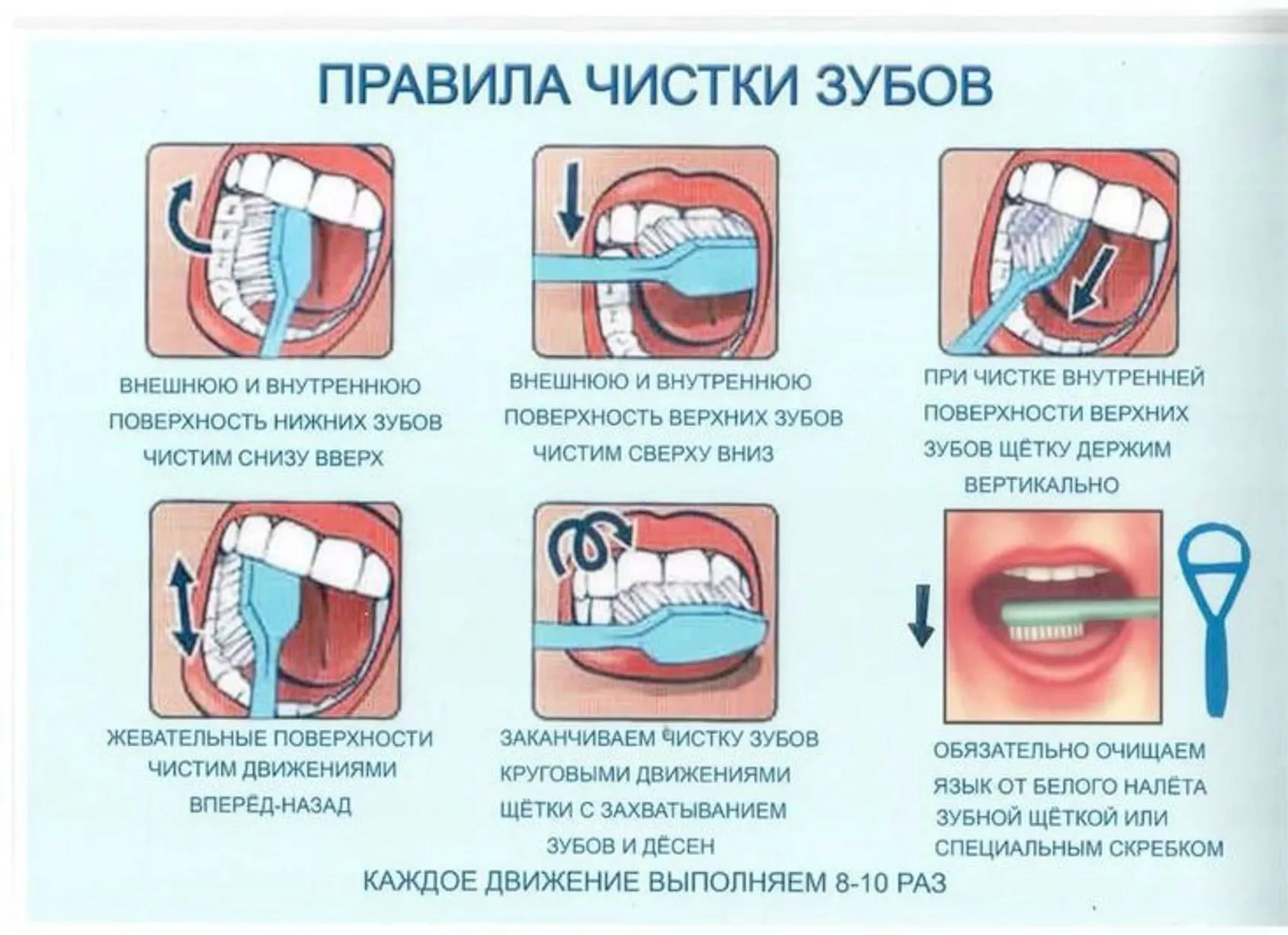 Визуальное объяснение: как часто нужно делать ТО